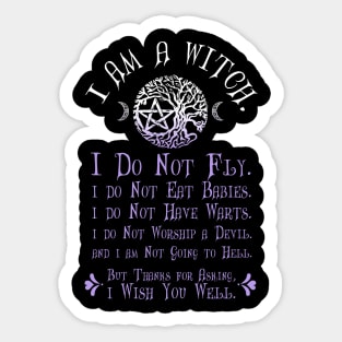 Wiccan Pagan Witch T-Shirt I am a Witch Misconceptions Tee Sticker